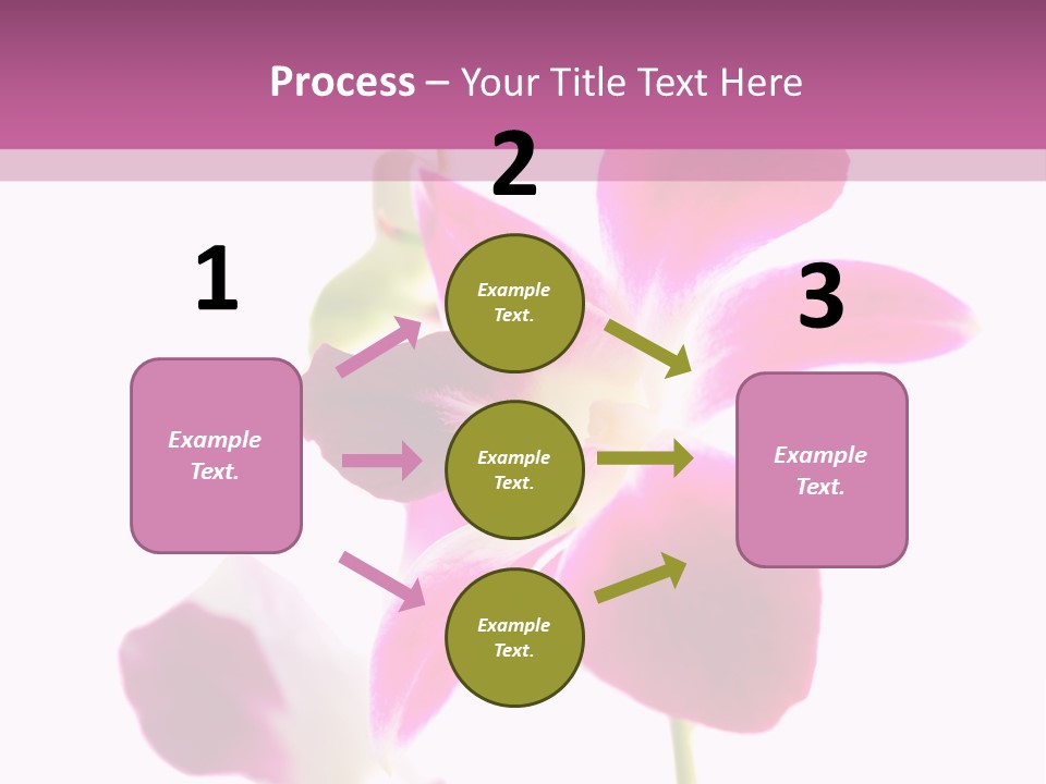 Royal Pink Orchid Isolated On White Background PowerPoint Template