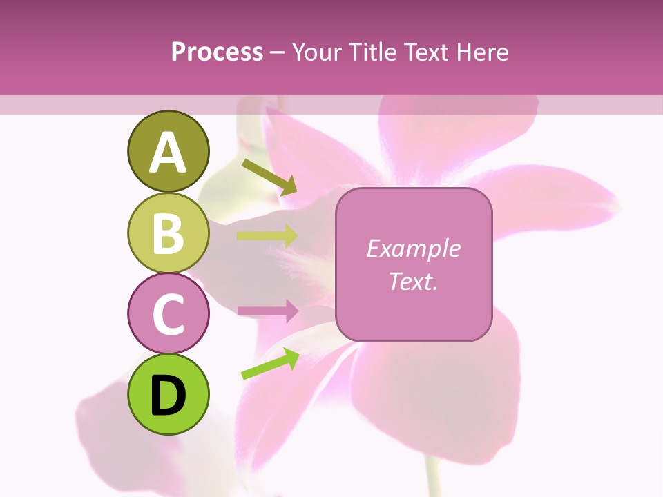 Royal Pink Orchid Isolated On White Background PowerPoint Template