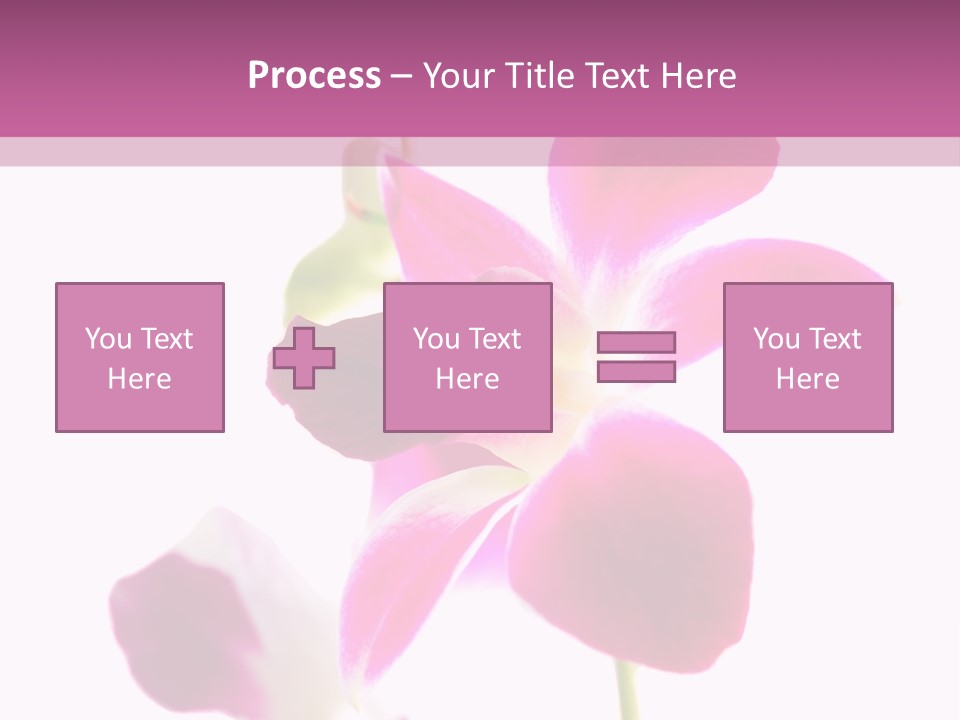 Royal Pink Orchid Isolated On White Background PowerPoint Template