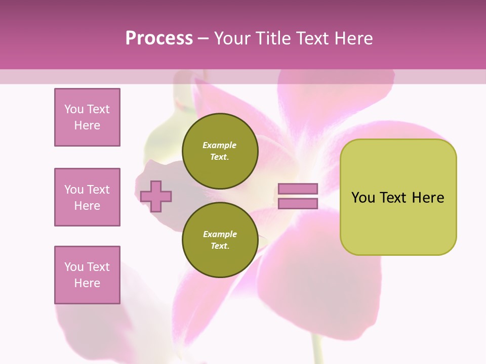 Royal Pink Orchid Isolated On White Background PowerPoint Template