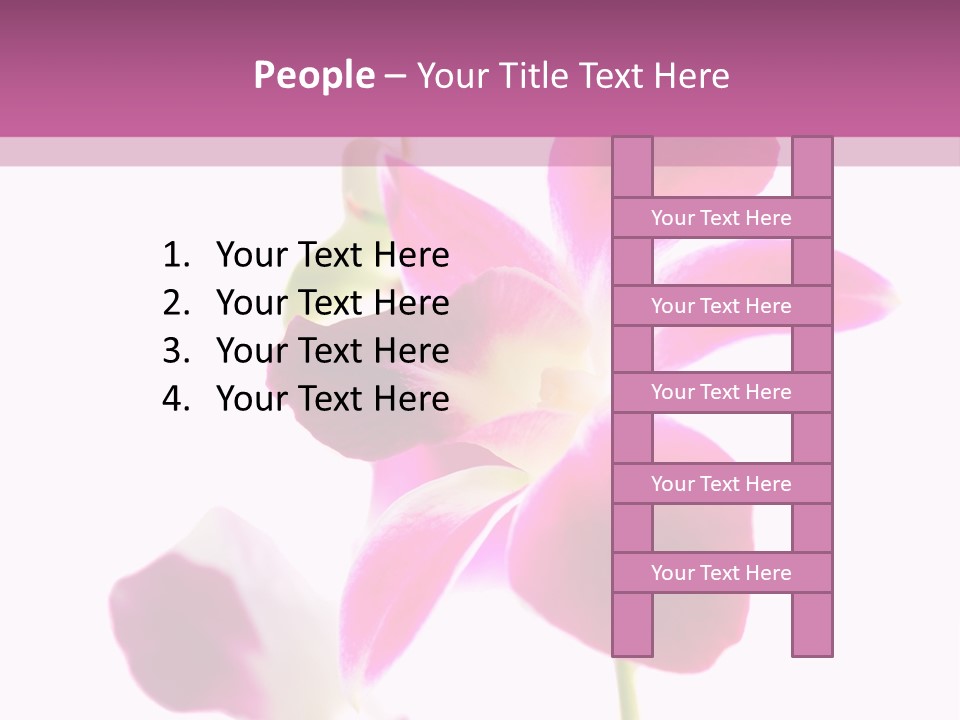 Royal Pink Orchid Isolated On White Background PowerPoint Template