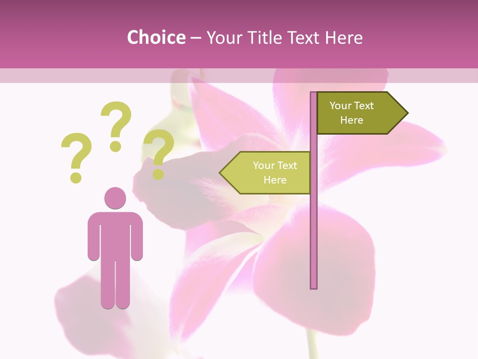 Royal Pink Orchid Isolated On White Background PowerPoint Template