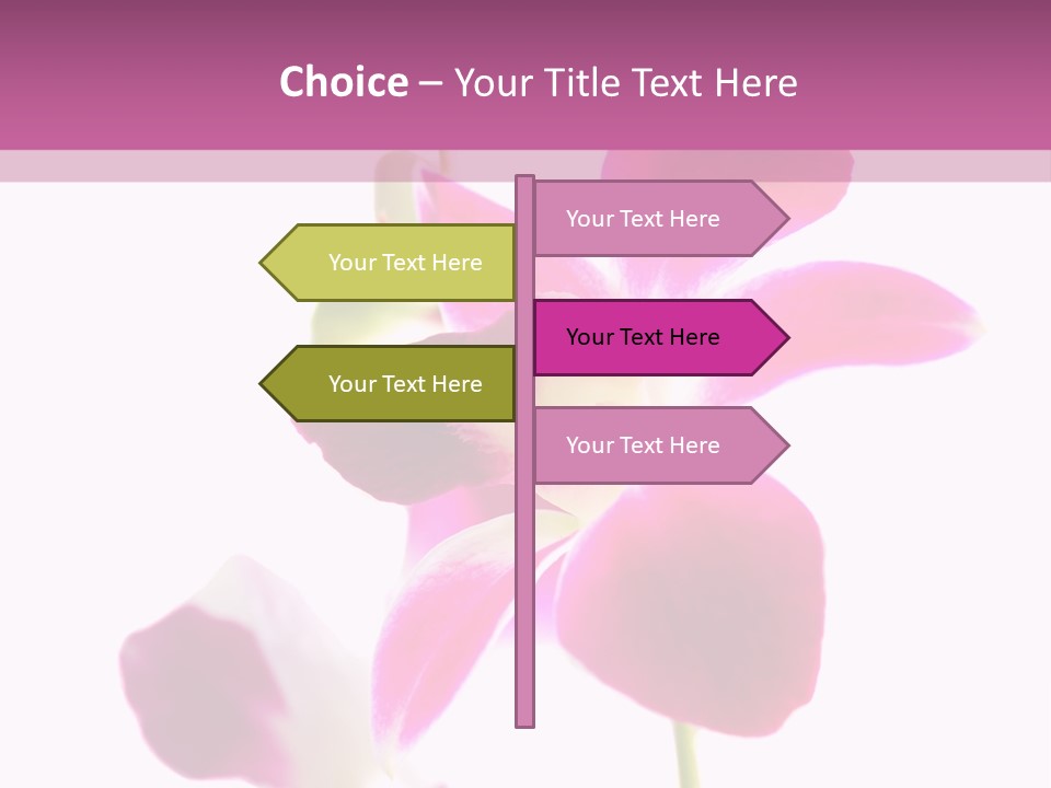 Royal Pink Orchid Isolated On White Background PowerPoint Template