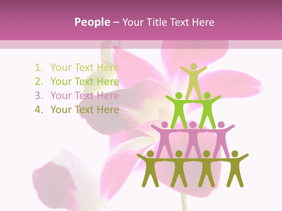 Royal Pink Orchid Isolated On White Background PowerPoint Template