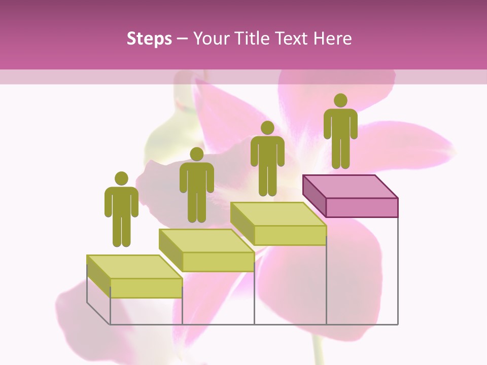 Royal Pink Orchid Isolated On White Background PowerPoint Template