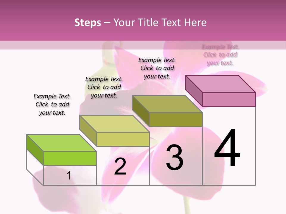 Royal Pink Orchid Isolated On White Background PowerPoint Template