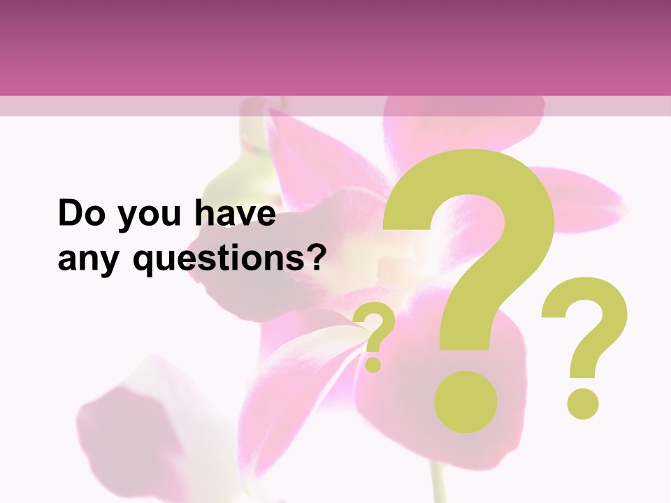 Royal Pink Orchid Isolated On White Background PowerPoint Template