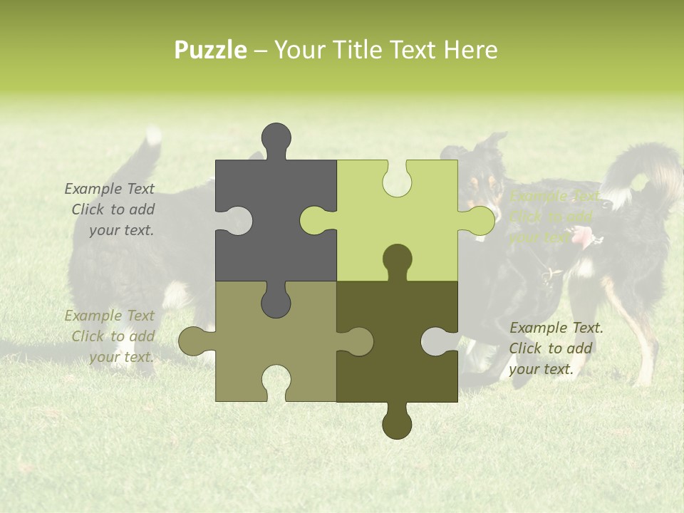 Three Black Dogs Having Fun On Grass PowerPoint Template