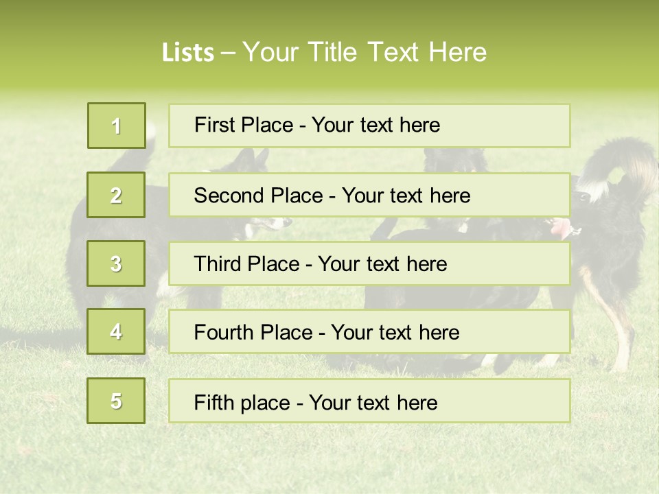 Three Black Dogs Having Fun On Grass PowerPoint Template