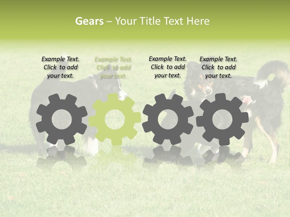 Three Black Dogs Having Fun On Grass PowerPoint Template