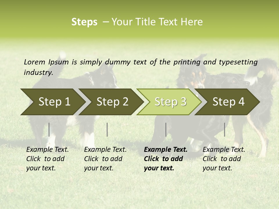 Three Black Dogs Having Fun On Grass PowerPoint Template