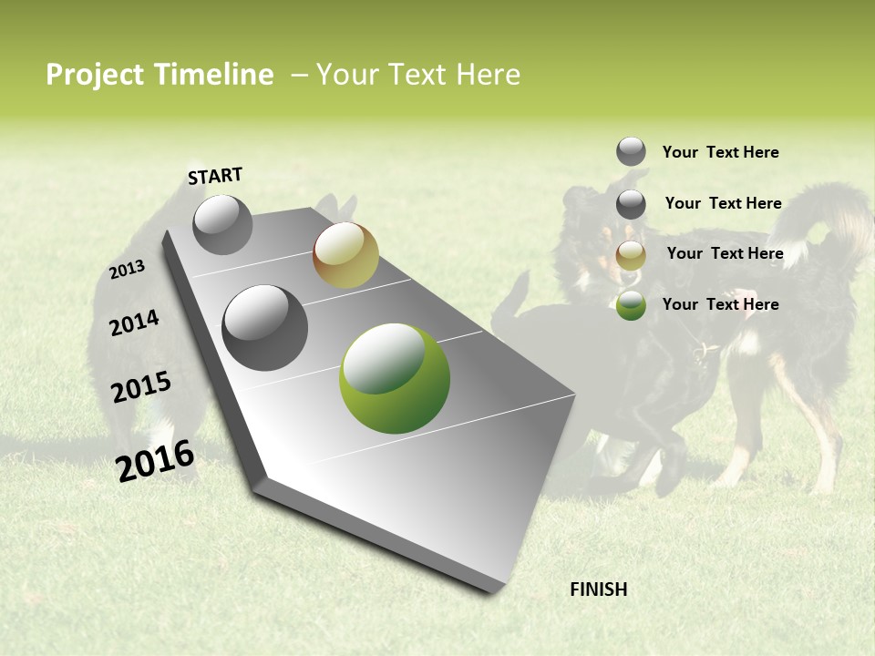 Three Black Dogs Having Fun On Grass PowerPoint Template