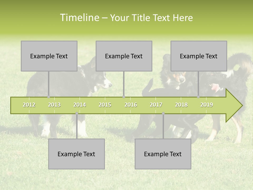 Three Black Dogs Having Fun On Grass PowerPoint Template