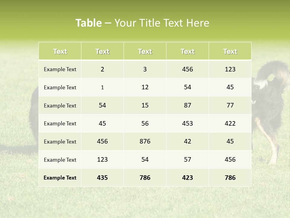 Three Black Dogs Having Fun On Grass PowerPoint Template