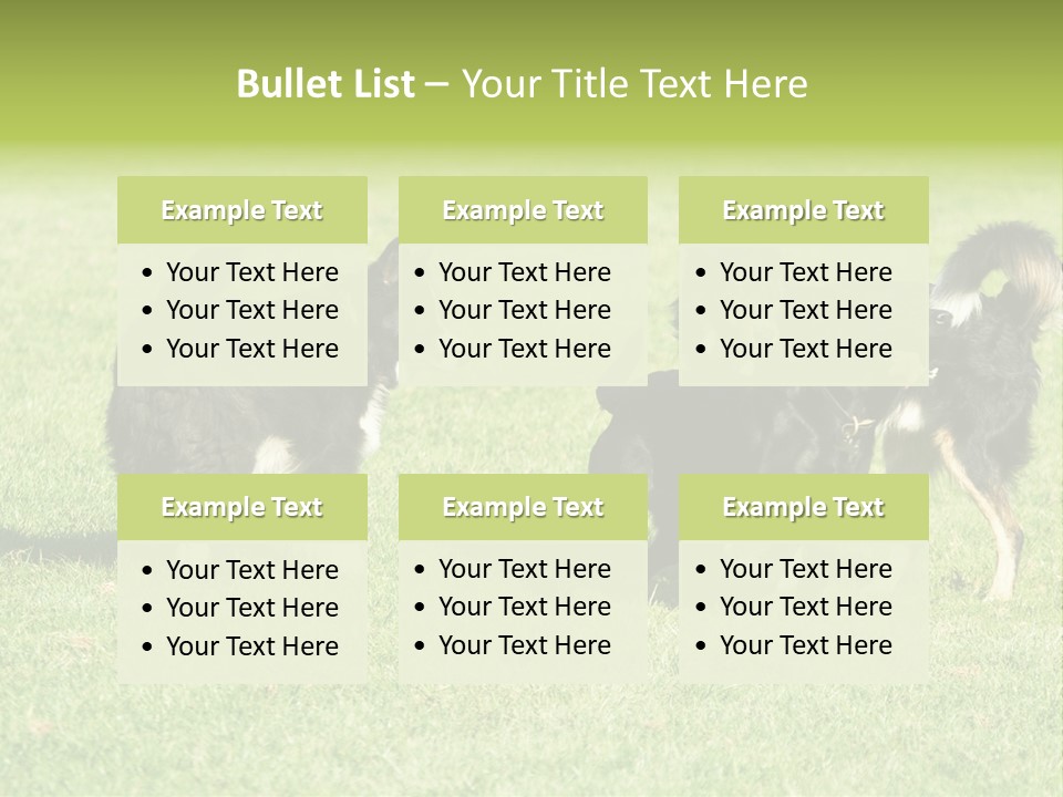 Three Black Dogs Having Fun On Grass PowerPoint Template