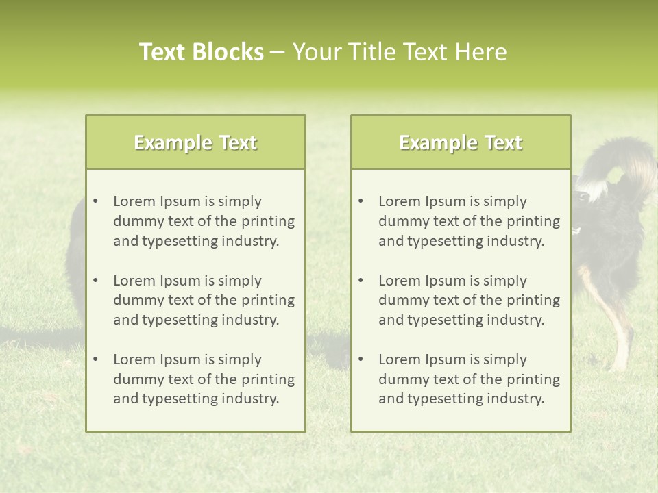 Three Black Dogs Having Fun On Grass PowerPoint Template