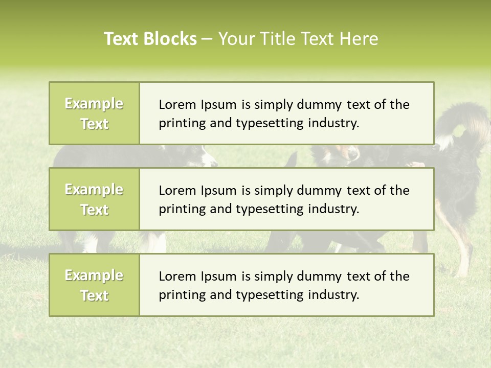 Three Black Dogs Having Fun On Grass PowerPoint Template