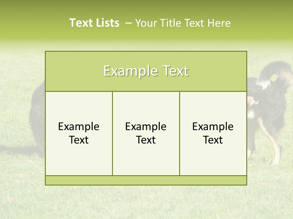 Three Black Dogs Having Fun On Grass PowerPoint Template