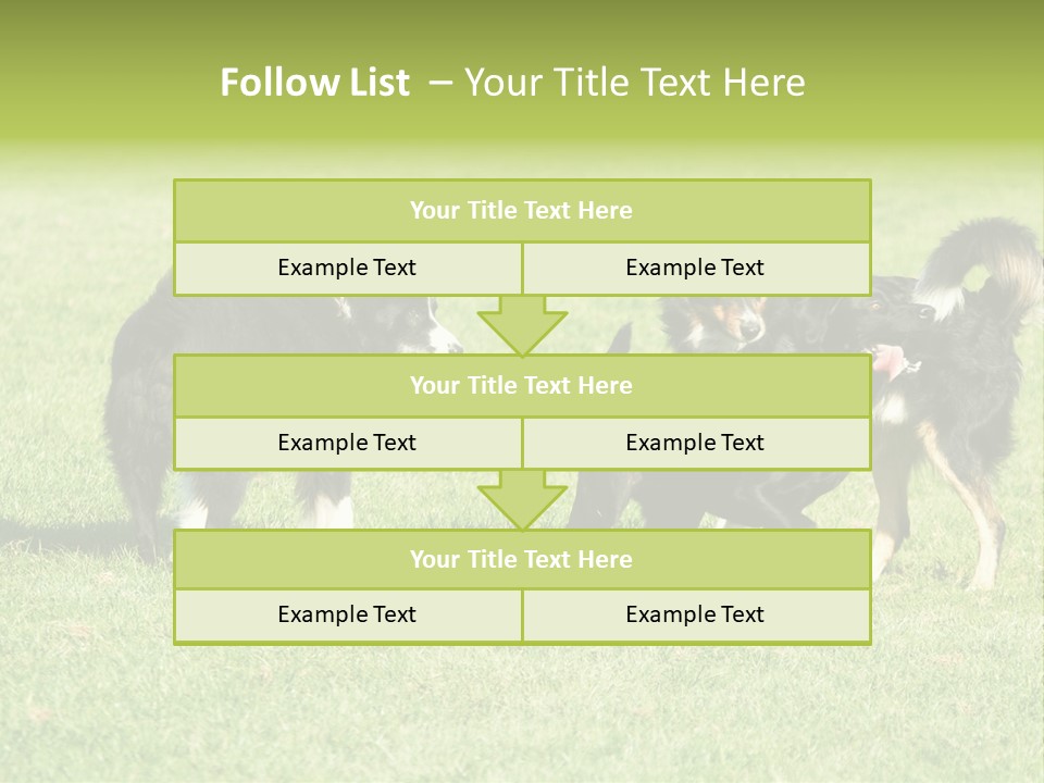 Three Black Dogs Having Fun On Grass PowerPoint Template
