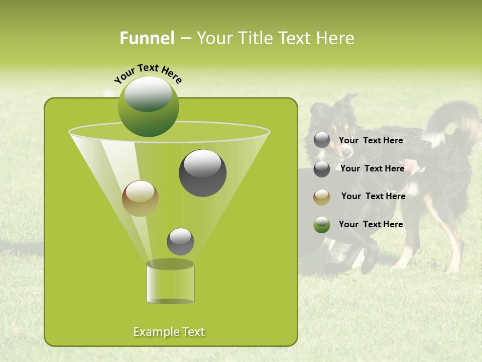 Three Black Dogs Having Fun On Grass PowerPoint Template