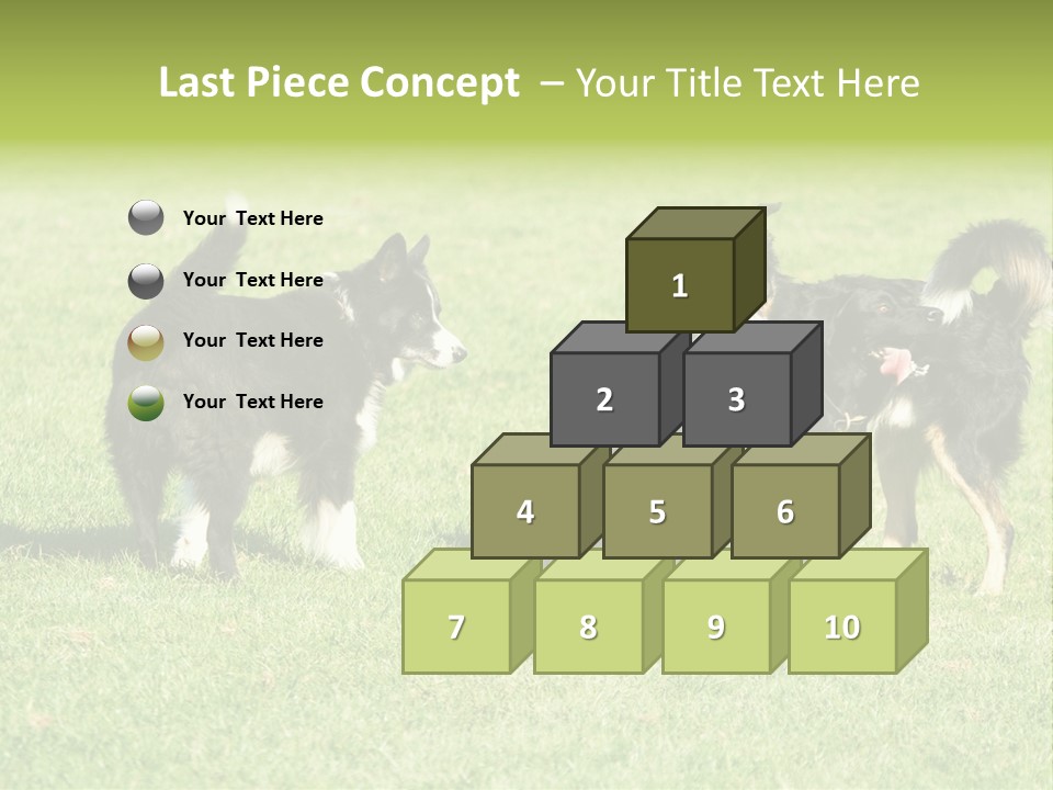 Three Black Dogs Having Fun On Grass PowerPoint Template