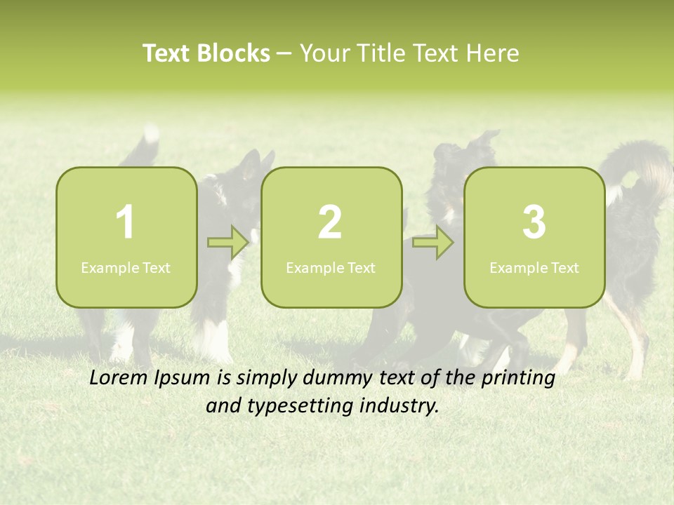 Three Black Dogs Having Fun On Grass PowerPoint Template