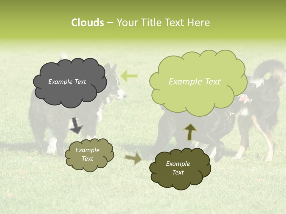 Three Black Dogs Having Fun On Grass PowerPoint Template