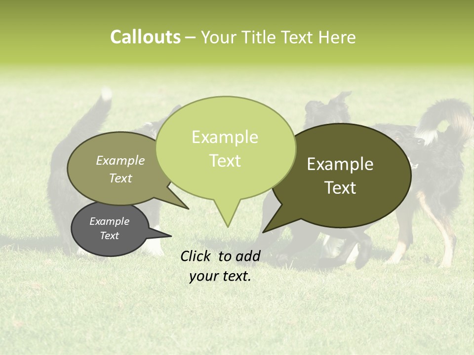 Three Black Dogs Having Fun On Grass PowerPoint Template