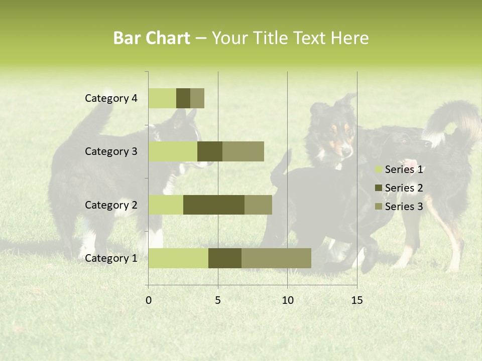 Three Black Dogs Having Fun On Grass PowerPoint Template
