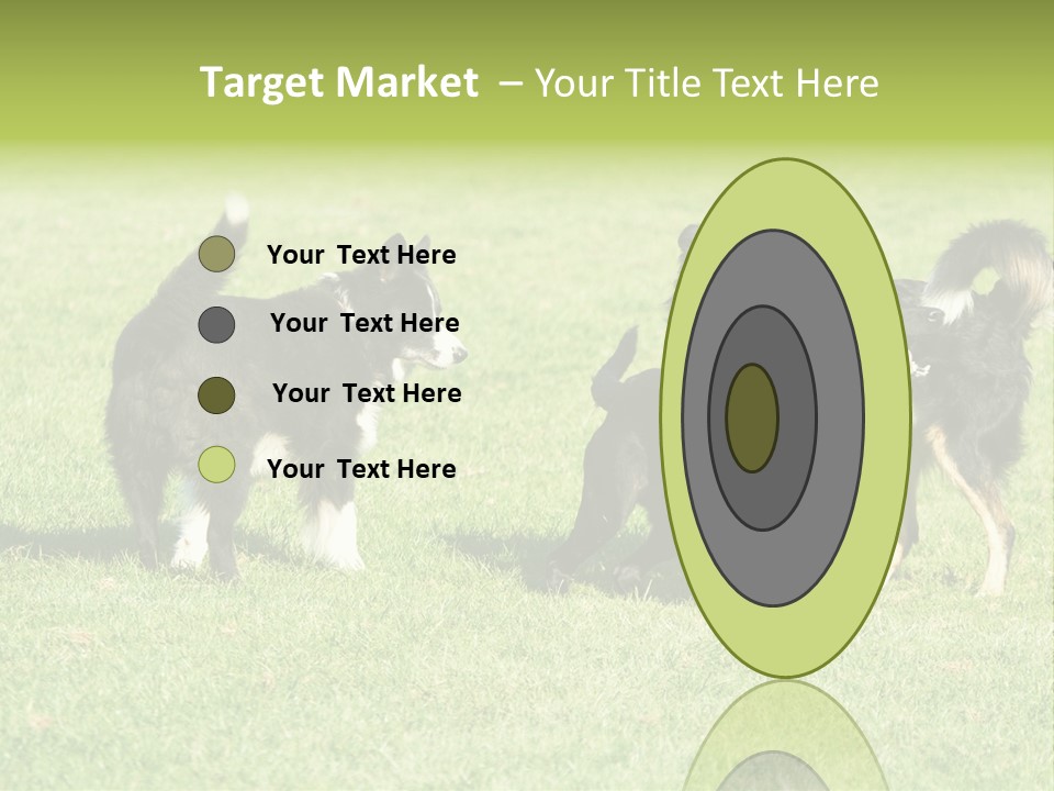 Three Black Dogs Having Fun On Grass PowerPoint Template