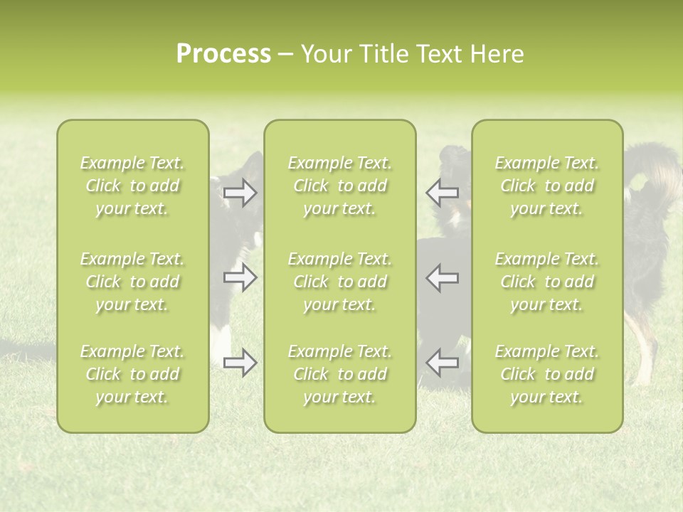Three Black Dogs Having Fun On Grass PowerPoint Template