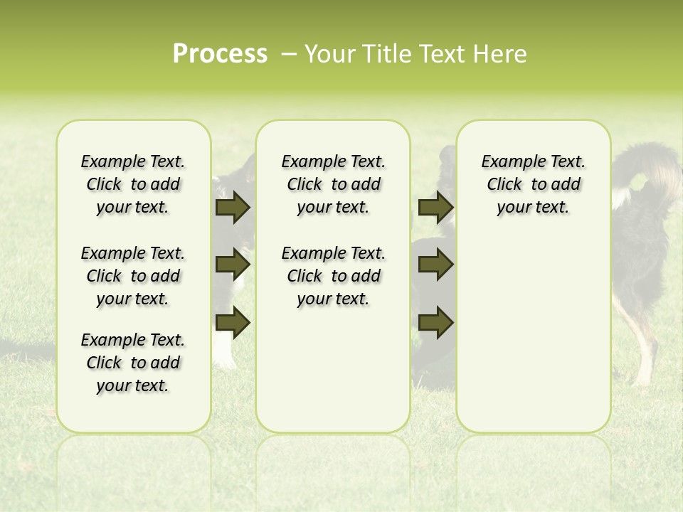 Three Black Dogs Having Fun On Grass PowerPoint Template
