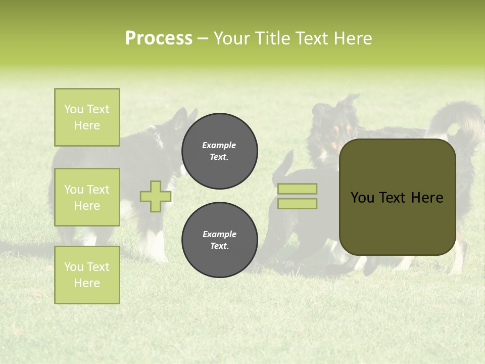 Three Black Dogs Having Fun On Grass PowerPoint Template