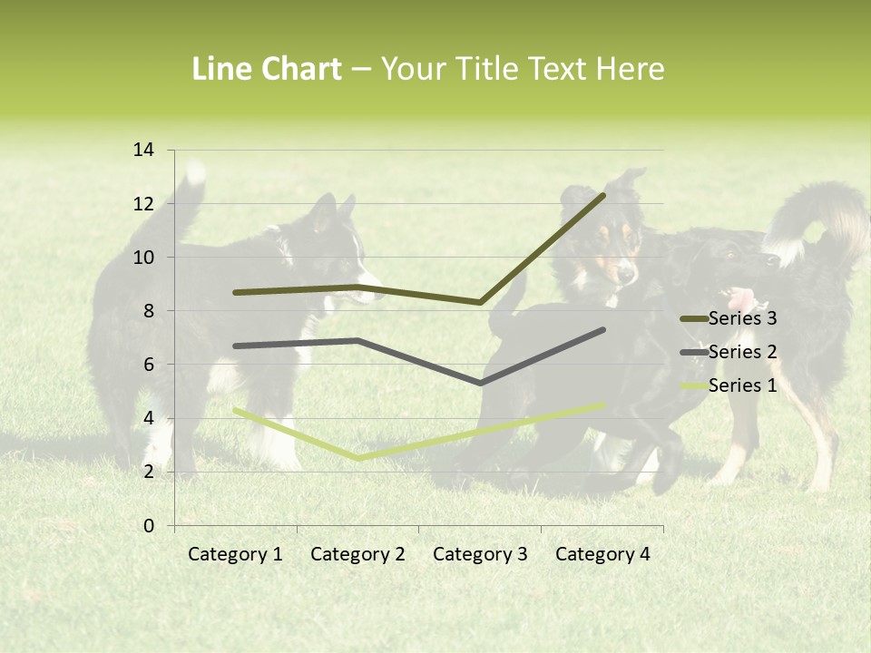Three Black Dogs Having Fun On Grass PowerPoint Template