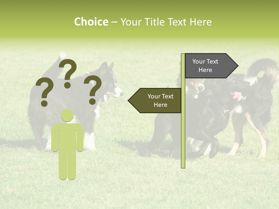Three Black Dogs Having Fun On Grass PowerPoint Template