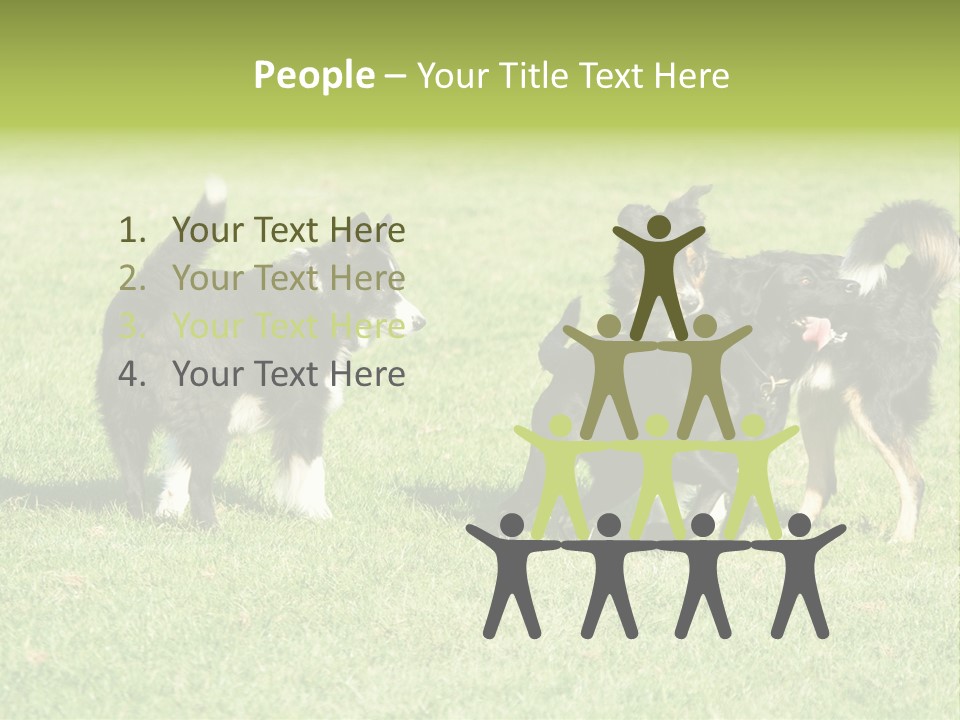 Three Black Dogs Having Fun On Grass PowerPoint Template