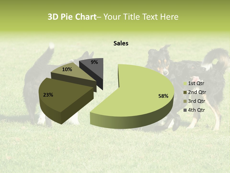 Three Black Dogs Having Fun On Grass PowerPoint Template