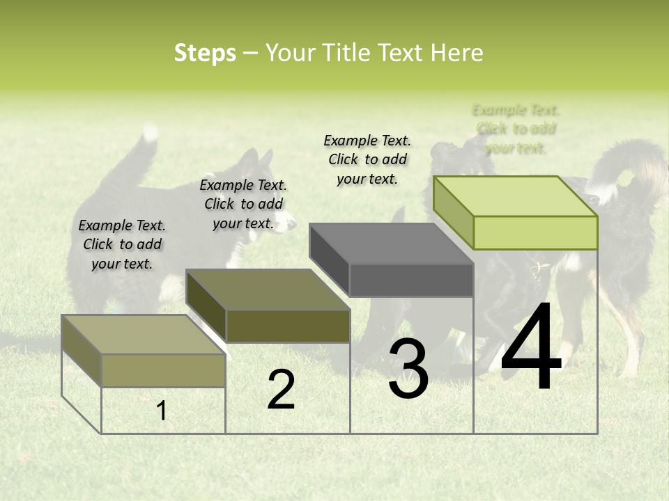 Three Black Dogs Having Fun On Grass PowerPoint Template