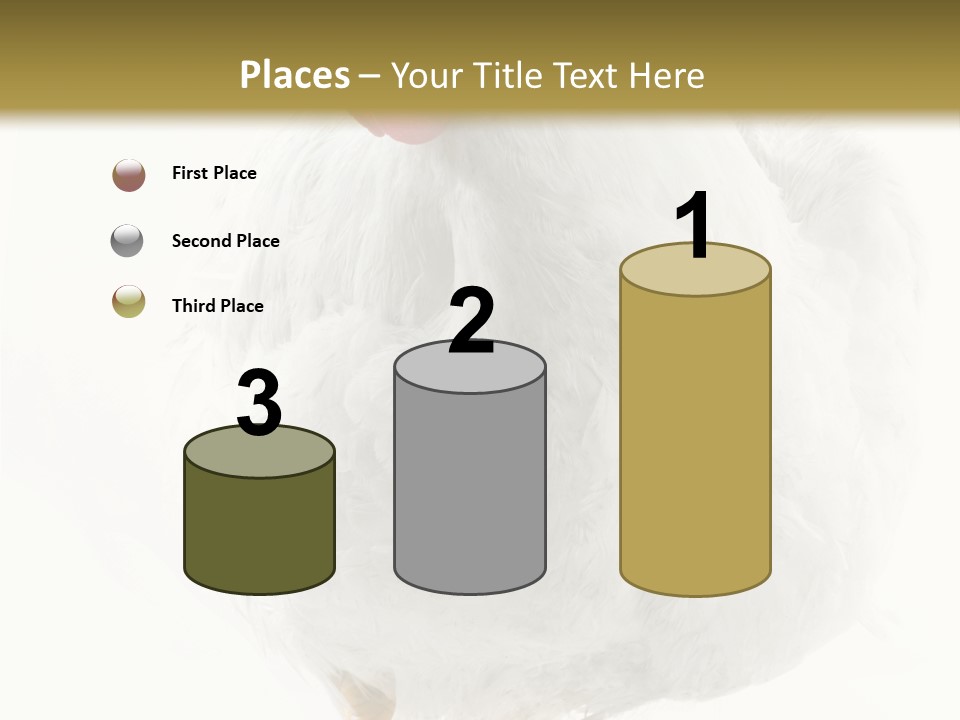 Image Of Hen Surrounded By Golden Eggs PowerPoint Template