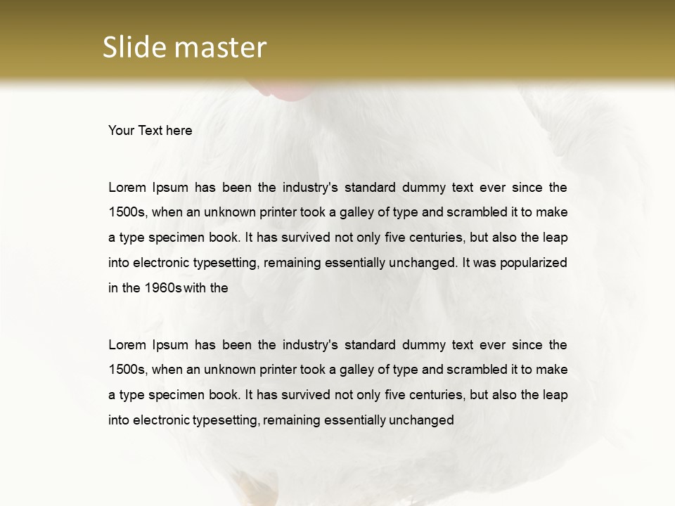 Image Of Hen Surrounded By Golden Eggs PowerPoint Template