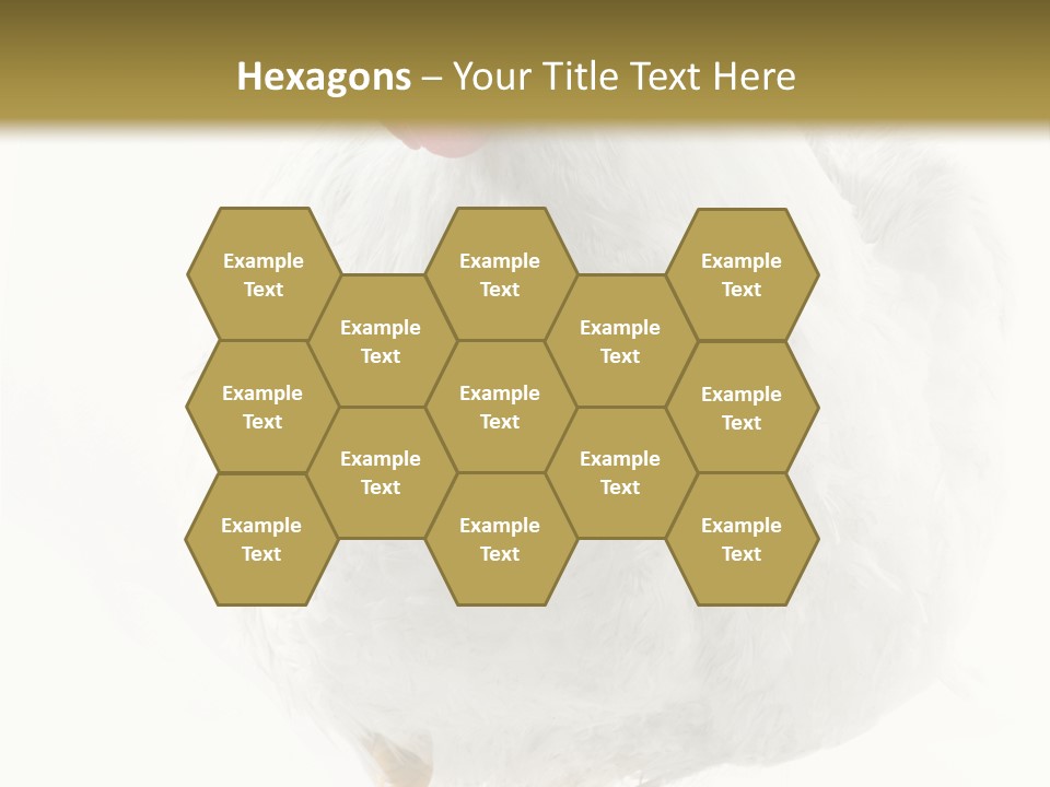 Image Of Hen Surrounded By Golden Eggs PowerPoint Template