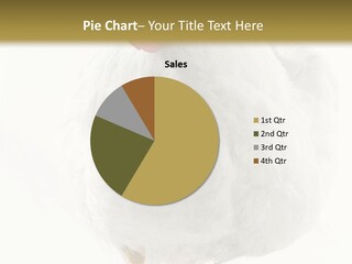 Image Of Hen Surrounded By Golden Eggs PowerPoint Template