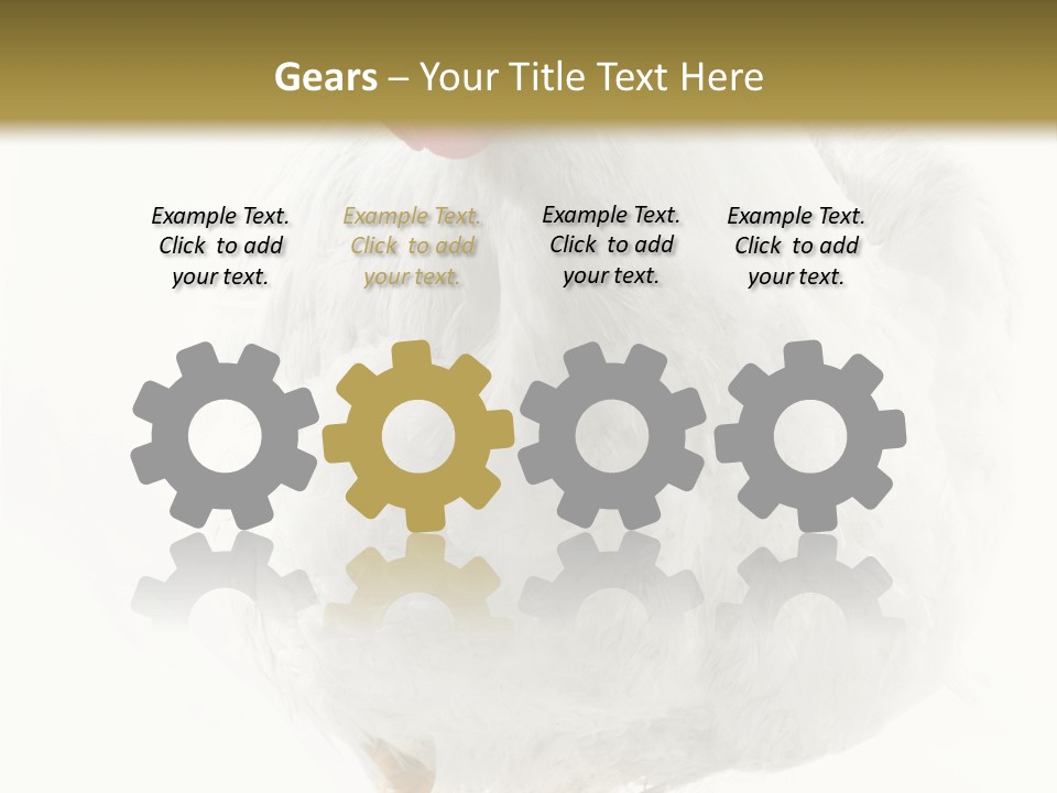 Image Of Hen Surrounded By Golden Eggs PowerPoint Template