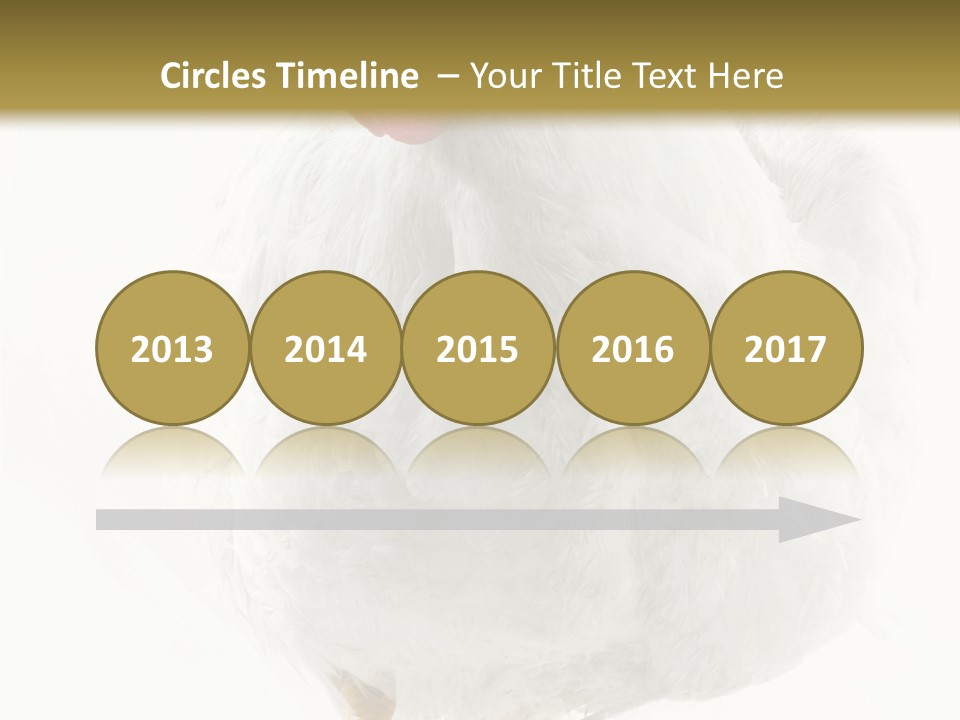 Image Of Hen Surrounded By Golden Eggs PowerPoint Template