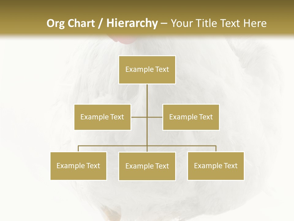 Image Of Hen Surrounded By Golden Eggs PowerPoint Template