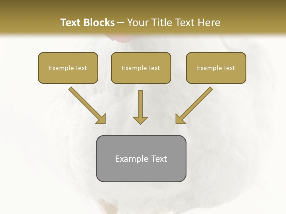 Image Of Hen Surrounded By Golden Eggs PowerPoint Template