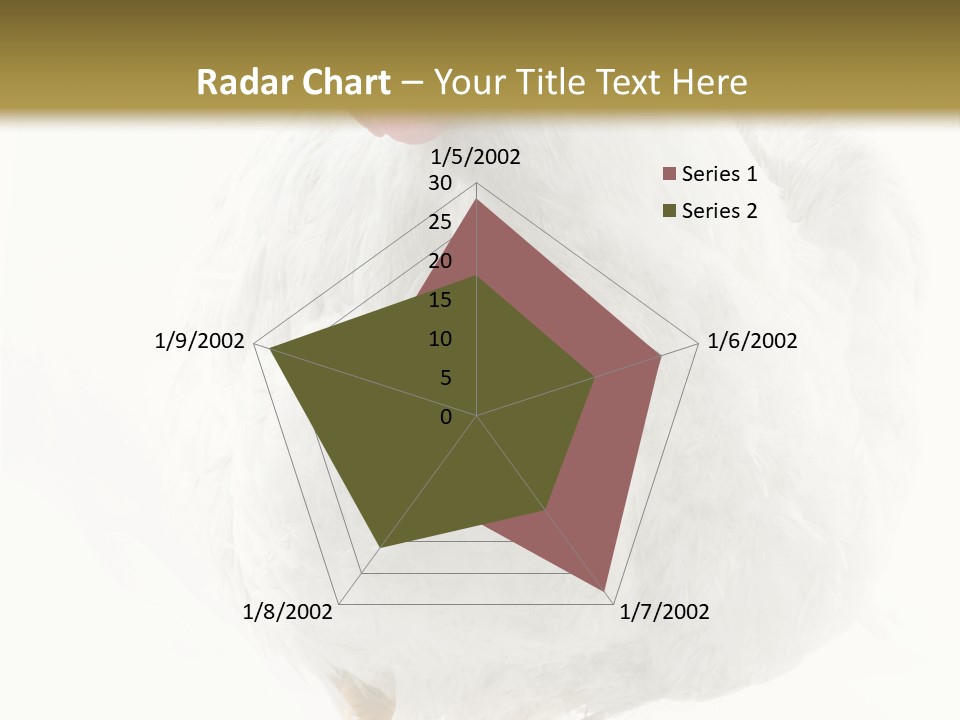 Image Of Hen Surrounded By Golden Eggs PowerPoint Template