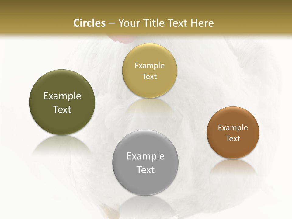 Image Of Hen Surrounded By Golden Eggs PowerPoint Template