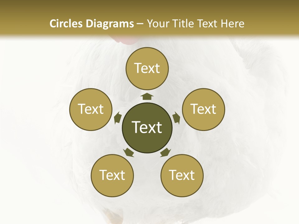 Image Of Hen Surrounded By Golden Eggs PowerPoint Template