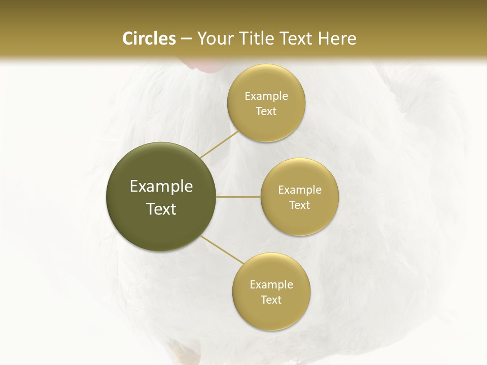 Image Of Hen Surrounded By Golden Eggs PowerPoint Template